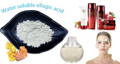 China Pomegranate Water Soluble Powder Ellagic Acid 40% Skin Whitening Medicine Grade for sale