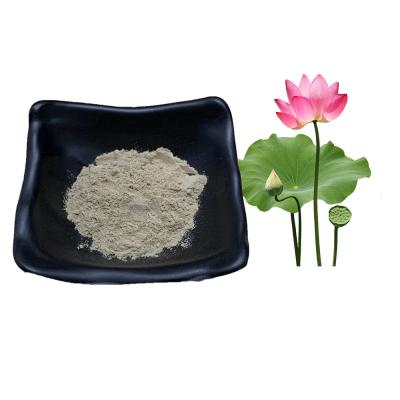 China Water Soluble Lotus Natural Extracts Natural Slimming Powder 2% 5% Nuciferine for sale