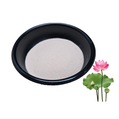 China Natural Lotus Leaf Extract Powder 2% 5% Nuciferine For Slimming Diuretic Laxative for sale