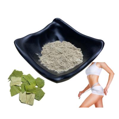 China Powdered Lotus Leaf Extract Nuciferine 10% 50% 98% For Lose Weight Products for sale