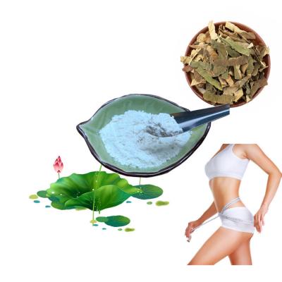 China High Purity Lotus Herbal Extract Powder 98% Nuciferine Nuciferine Health Care Use for sale