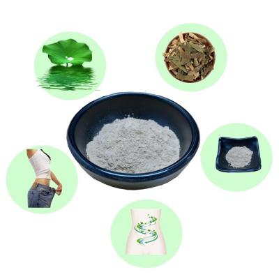 China Natural Lotus Leaf Extract Powder Nuciferine 50% Promote Intestinal Peristalsis for sale