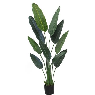 China Natural Contact Amazon 2021 Selling Products Artificial Plants And Palm Trees Lemon Green Bonsai 1.3m 1.8m For Home Decor for sale