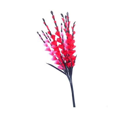 China Manufacturer Supplier Supply Sword Orchid Flower Luxury Home Decor Eco-friendly Artificial Dry Flower Wall Panel Packaging for sale