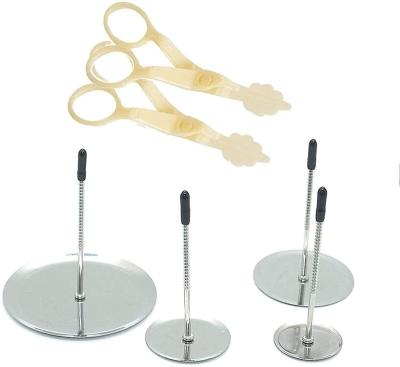 China 6pcs Cake Flower Decorating Set Disposable Cake Flower Nail Lifters Set Stainless Steel Baking Tools for sale