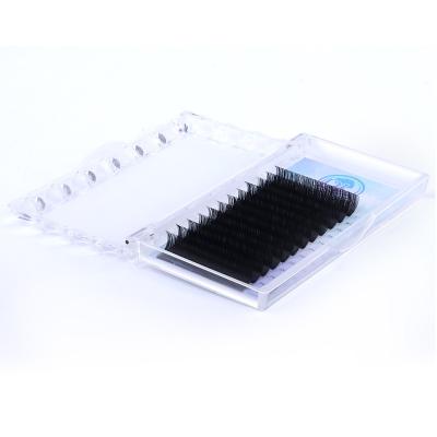 China Natural Soft Daily Individual Ellipse Extensions Private Volume Eyelash Flat Eyelash Extension for sale