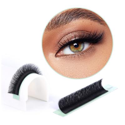 China Daily Russian Easy Lash Extensions Fan Full Volume Private Label Mink Blooming Eyelash Extension for sale