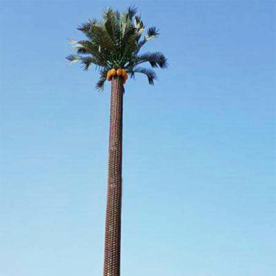 China Hot Plunger Galvanized Steel 30m Saudi Palm Pole for sale