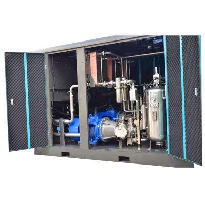 China Oil Free Screw Air Compressor 185KW 8bar13bar 16bar Oilless Screw Air Compressor Oil Free Medical Use for sale