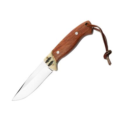 China FDN2299 2021 NEW Mirror Non-variable Fixed Blade Small Hunting Knives Wooden Knife for sale