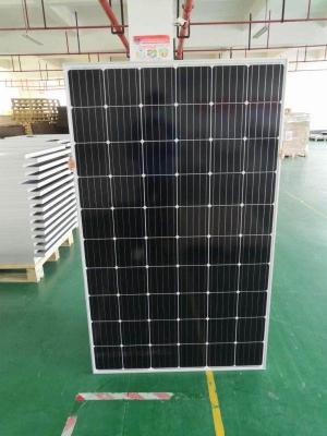 China Monosonnenkollektor 295w pv-Platten in Reihe lichtdurchlässigen pv-Platten 158.75mmx158.75mm zu verkaufen