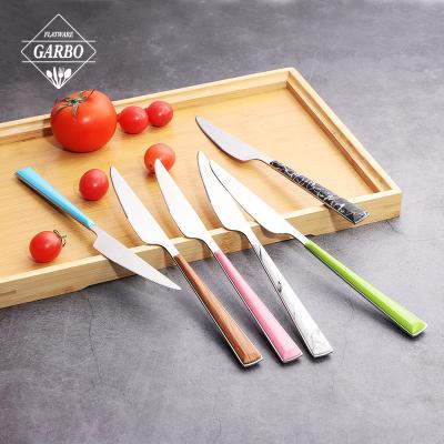 China China Viable Popular ABS Stainless Steel Dinner Knife Jieyang Made Knife Sets With Plastic Handle Small MOQ Customized Table Knives for sale