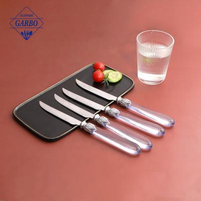 China Sustainable 420 SS Steak Knife With Clear Plastic Handle PS Handle Siverware Set For 6 People Home Table Used Customized Dinner Knife Set for sale