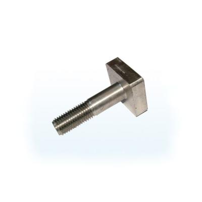 China OEM stainless steel square/T head bolt/hammer head for sale