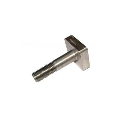 China Stainless Steel A2 A4 SS304 SS316 Square T Head Bolt for sale