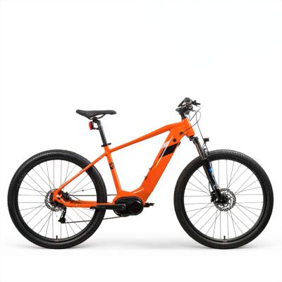 China New Design 6 Carbon Fiber Light Weight 350w Mid Motor Off Road Road Electric Bike for sale