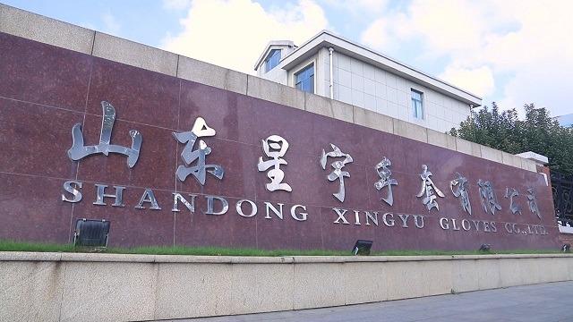 Verified China supplier - Shandong Xingyu Gloves Co., Ltd.