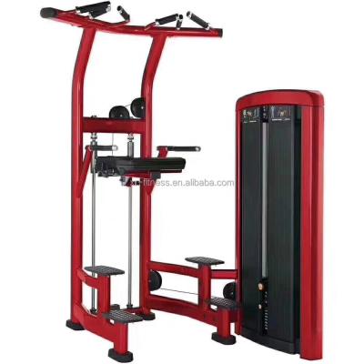 China High Quality Commercial Use Xinrui Fitness Equipment Aid Chin XH 902 Immersion for sale