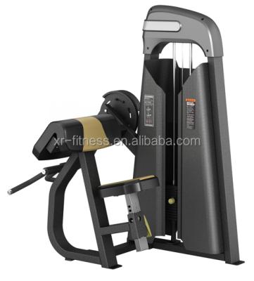 China Commercial use competitive price high quality biceps curl machine for sale for sale