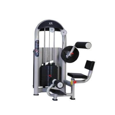 China Commercial Use China Factory Supply Seated Abdominal Machine XR6607 Directly For Bodybuilding for sale