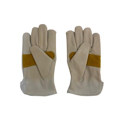 China Factory Direct Wholesale Durable Leather Work Gloves Anti-Cut Low Price Working Safety Cut Resistant Gloves for sale