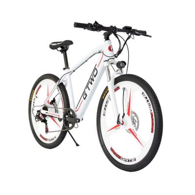 China Aluminum Alloy Wholesale 48V 9A Mountain Price Electric Bicycle Ebike Stage for sale