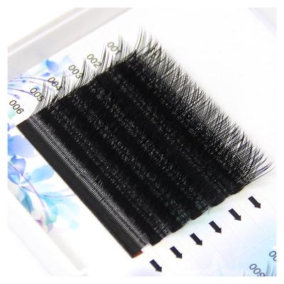 China Thick New OEM Custom Packaging Different Eyelash Extension Private Label Synthetic Eyelash Extension Trays for sale