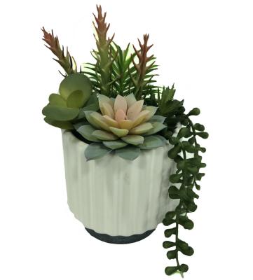 China Mini Decorative Artificial Potted Succulents Plants Indoor And Hotel Plastic Fake Decoration for sale