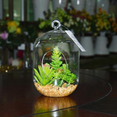 China Home Decoration Mini Greenhouse Glass Vase Hanging Succulent Plants For Sale for sale