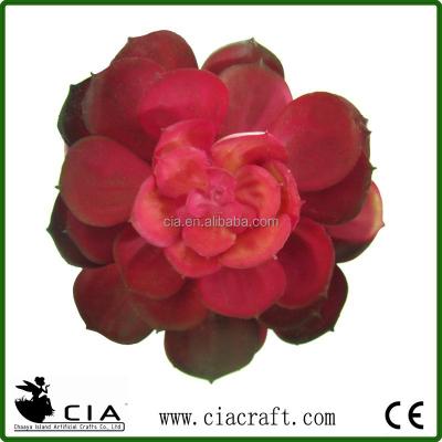 China Large Plastic Plastic Selection of Echeveria in Two Tone Red for Flower Arrangement for sale