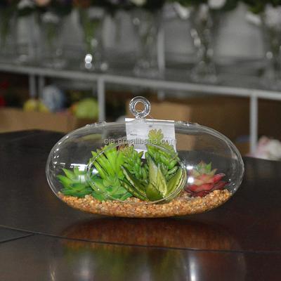 China Home Decoration Plants Tropical Plants Mini Greenhouse Plastic Succulent Glass for sale