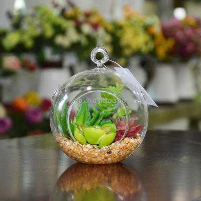 China Home Decoration Wholesale Glass Globe Hanging Geometric Plants Mini Succulent Greenhouse for sale