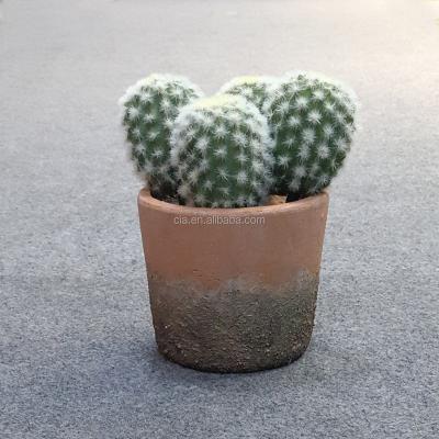 China Fake Indoor Cactus Plastic Spiny Bundled Cactus For Home Decoration for sale