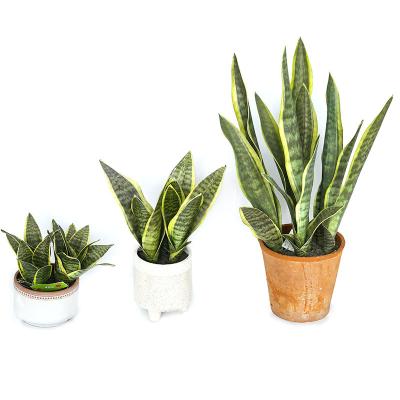 China Wholesale Minimalist Artificial Green Decoration Bonsai Fake Plants Snake Tree Sansevieria for sale