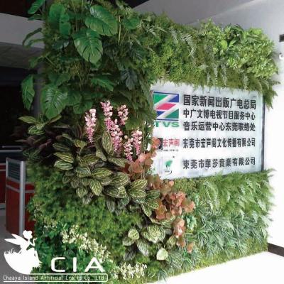 China Factory direct sale plastic custom artificial grass wall for sale