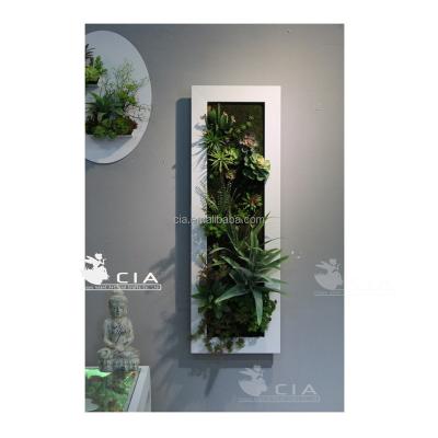 China UV Proof Preserved Artificial Plants Vertical Wall Hanging Decoration For Interior Ornaments for sale