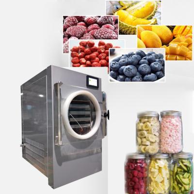 China Vacuum Mini Freeze Dryer For Home for sale