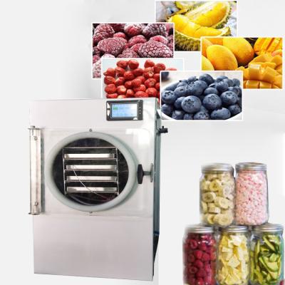 China Programmable Food Vacuum Freeze Dryer Electric Heating Low Noise for sale