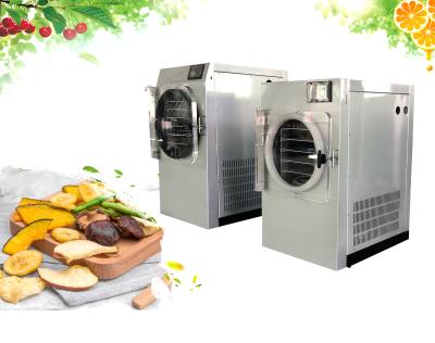 China Electric Heating Home Food Freeze Dryer SUS304 Lyophilization for sale