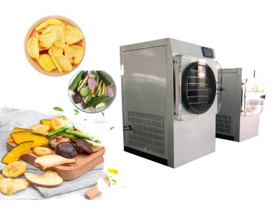 China Electric Heating Small Home Freeze Dryer SUS304 For Fruit And Vegetable for sale