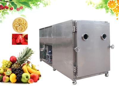 China SUS304 Freeze Dryer Machine 100kg Capacity For Root Vegetables for sale