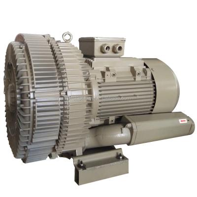 China Industrial Blower Vacuum Compressor Soprador Radial for sale