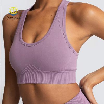 China Basic Design Breathable Breathable Women Padded Seamless High Stretch Sports Yoga Bra for sale