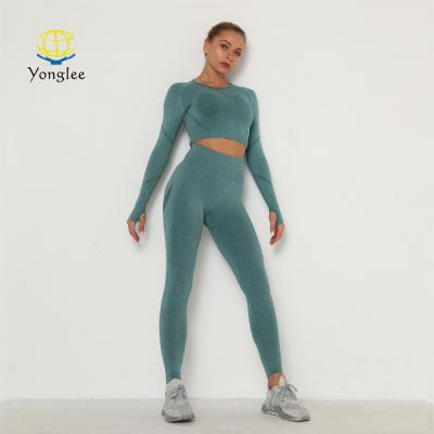 China Factory Supply Women's Breathable 2 Piece Seamless Leggings High Waist And Long Sleeve Crop Yoga Activewear Top Set for sale