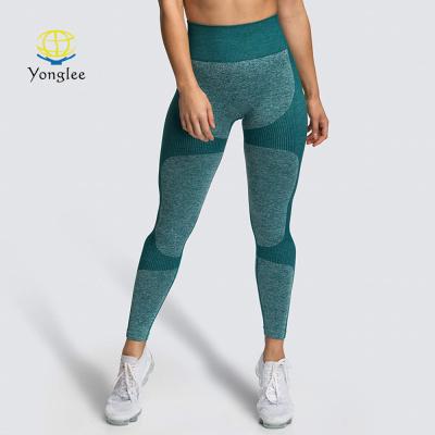 China Breathable Ready To Ship Seamless Workout Fitness Leggings Running Women Sportswear High Waist for sale