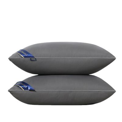 China Hilton Anti-Static Pillow 1000g With Bag for sale