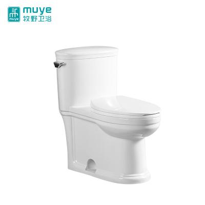 China Double Height Flush Western Design One Piece Tank Toilet Convenient Concealed Toilet for sale