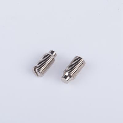 China Other 2021 Hot Sale Customized Galvanized Hex Socket Worm Screw With Thread for sale