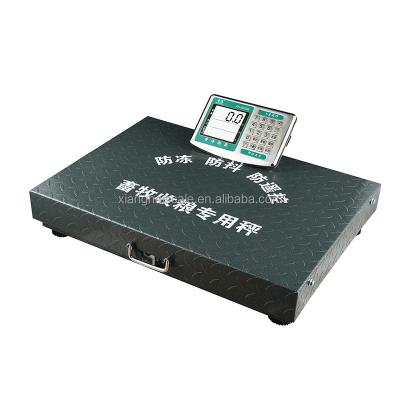 China Portable Radio Electronic Farm Grain Scale 300kg 600kg Weighing for sale