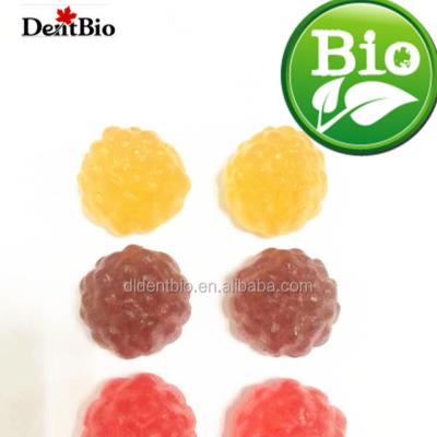 China ORGANIC CHILDREN'S MULTI FLAVORS sugar free GUMMY for sale